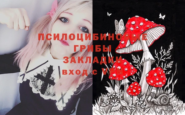 2c-b Балабаново