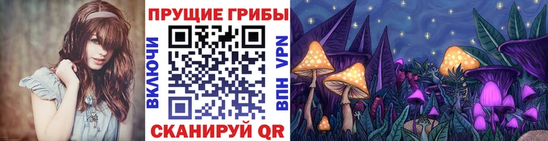 blacksprut зеркало  где найти наркотики  Бикин  Галлюциногенные грибы Psilocybine cubensis 
